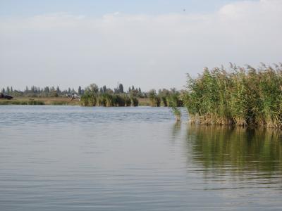 Прикрепленное изображение: IMG_0305.JPG